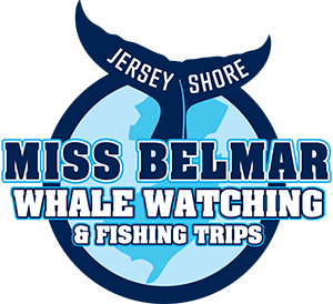 Miss Belmar Whale Watching & Fishing Trips